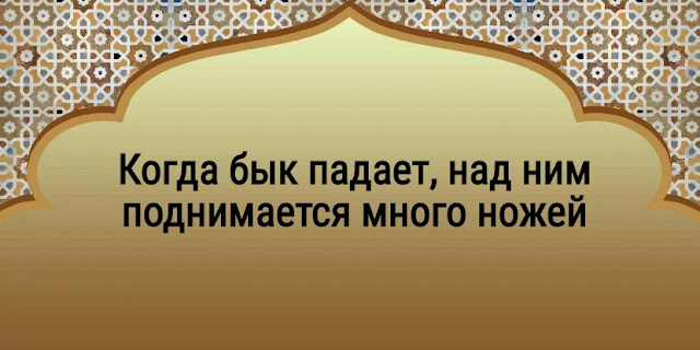 5 мудрейших арабских пословиц, которые переворачивают представление о жизни