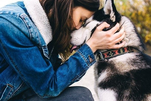 Я смотрю на людей и влюбляюсь в собак…